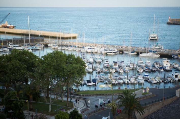 W Stunning View - Marina - Free Parking & Ac Apartment *